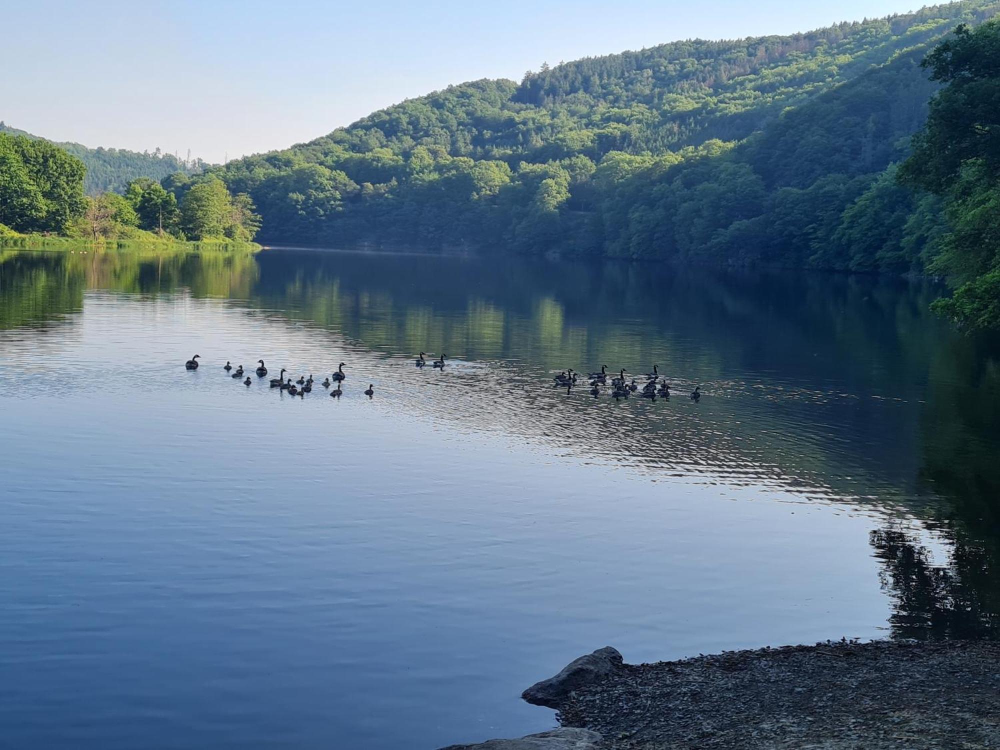 Ferienwohnung Am Rursee Зиммерат Экстерьер фото