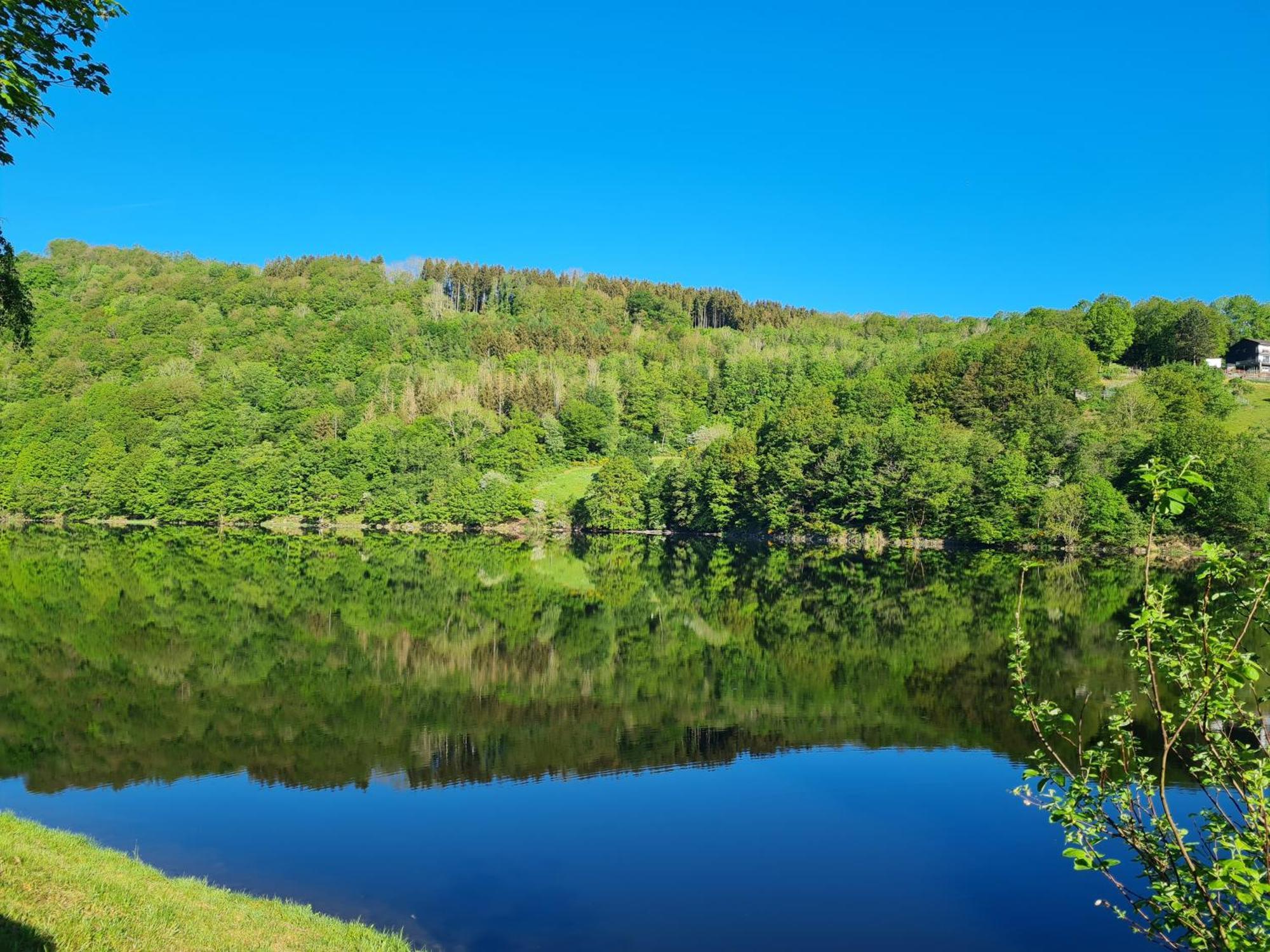 Ferienwohnung Am Rursee Зиммерат Экстерьер фото